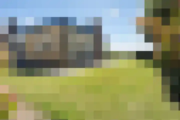 Meidoornlaan 6 Kamerik thumbnail 37