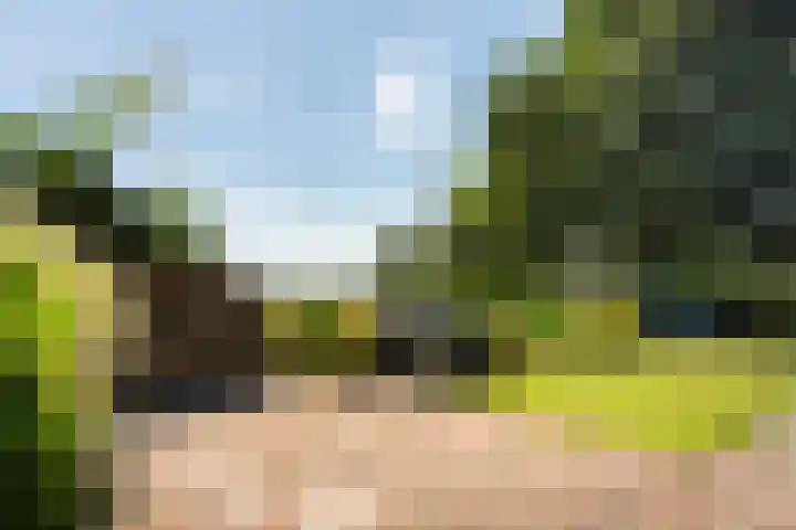 Meidoornlaan 6 Kamerik thumbnail 39