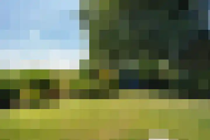 Meidoornlaan 6 Kamerik thumbnail 40