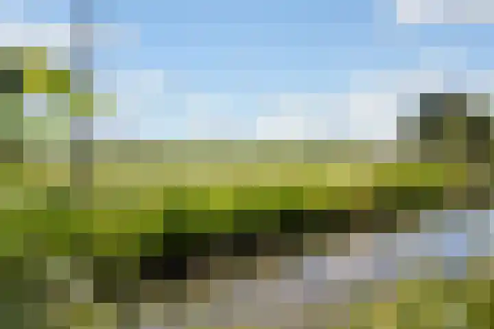 Meidoornlaan 6 Kamerik thumbnail 41