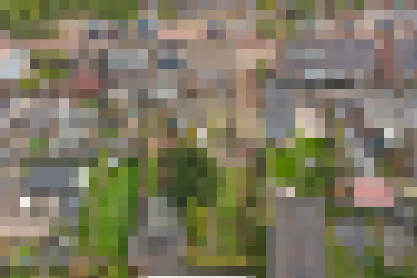 Meidoornlaan 6 Made thumbnail 33