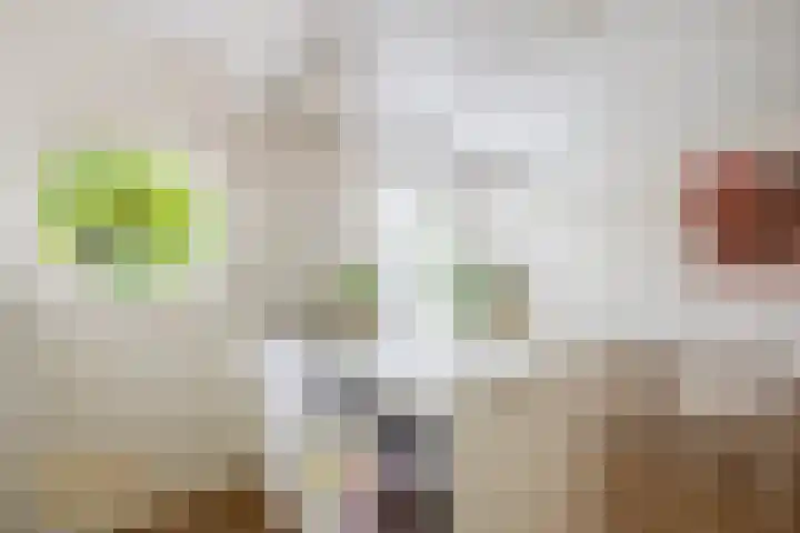 Meidoornlaan 6 Tegelen thumbnail 12