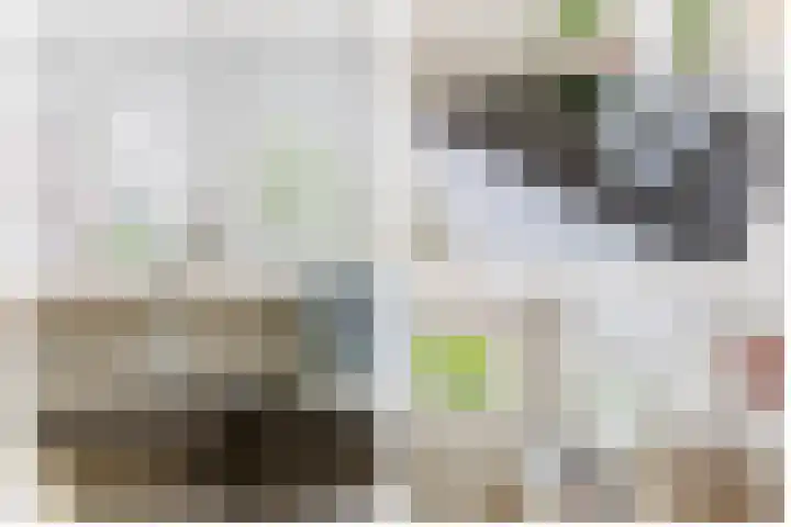 Meidoornlaan 6 Tegelen thumbnail 13