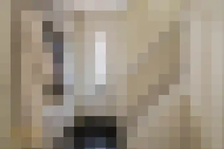 Meidoornlaan 6 Tegelen thumbnail 15