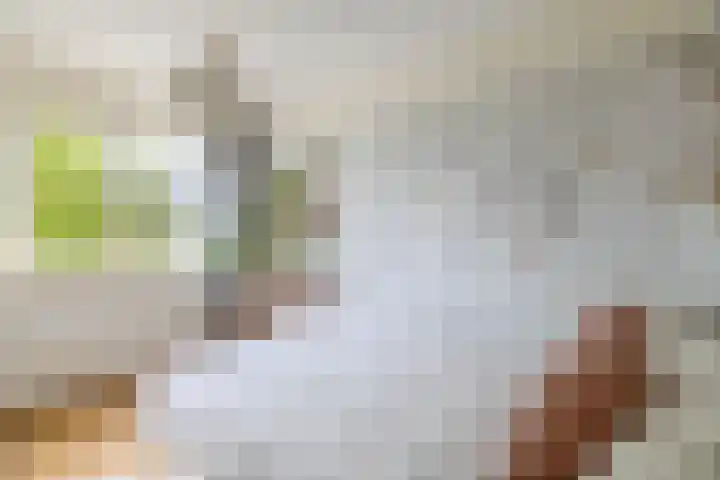 Meidoornlaan 6 Tegelen thumbnail 19