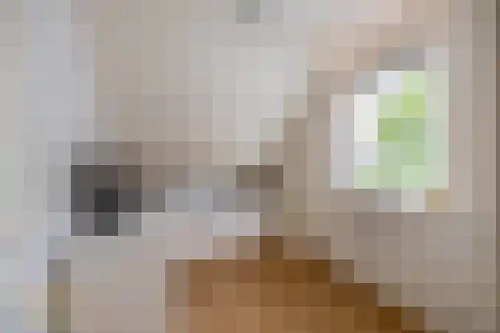 Meidoornlaan 6 Tegelen thumbnail 20
