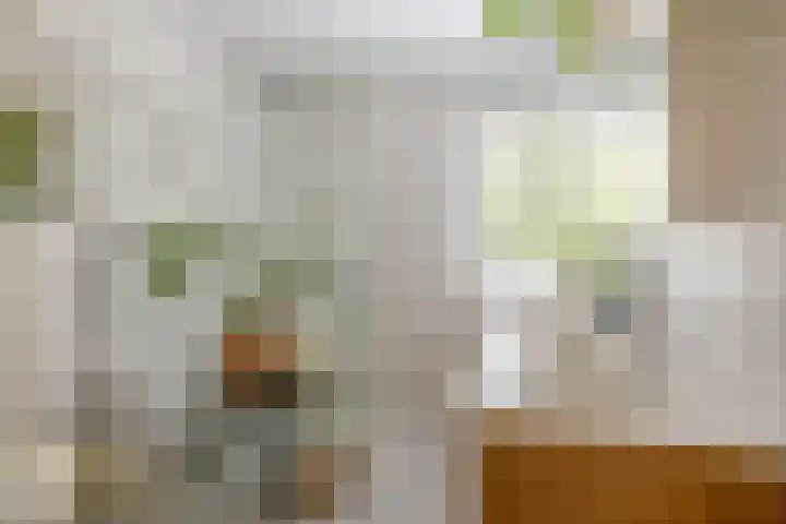 Meidoornlaan 6 Tegelen thumbnail 21