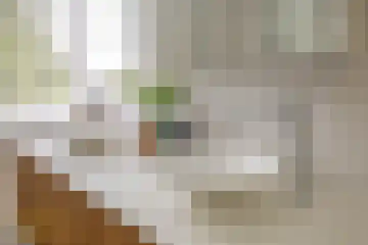Meidoornlaan 6 Tegelen thumbnail 23