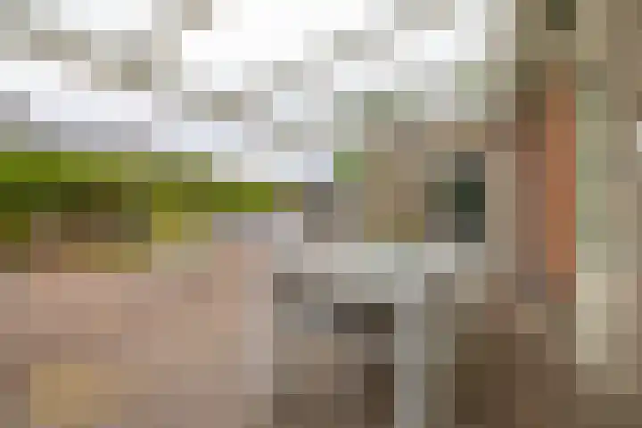 Meidoornlaan 6 Tegelen thumbnail 26