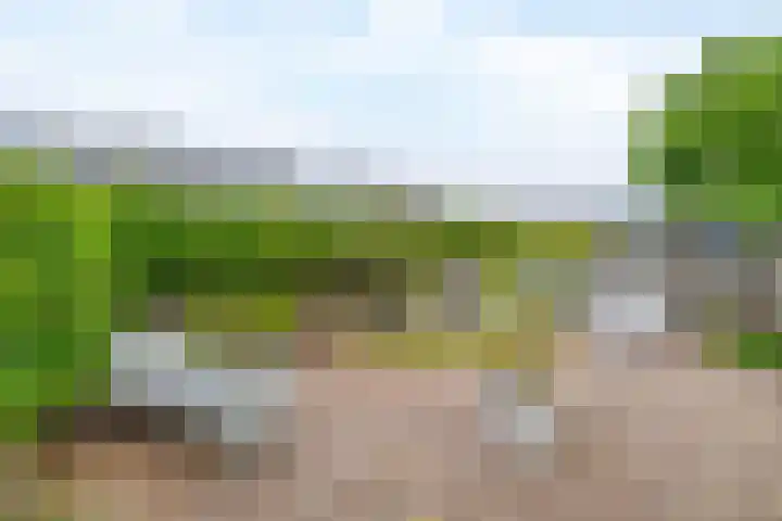 Meidoornlaan 6 Tegelen thumbnail 28