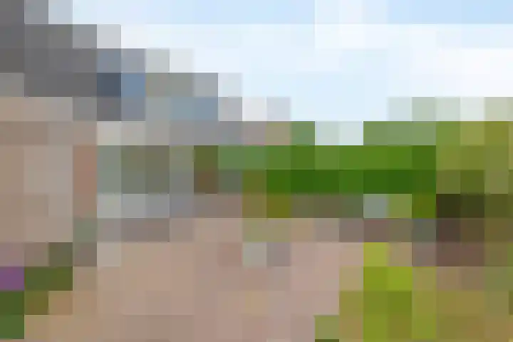 Meidoornlaan 6 Tegelen thumbnail 29