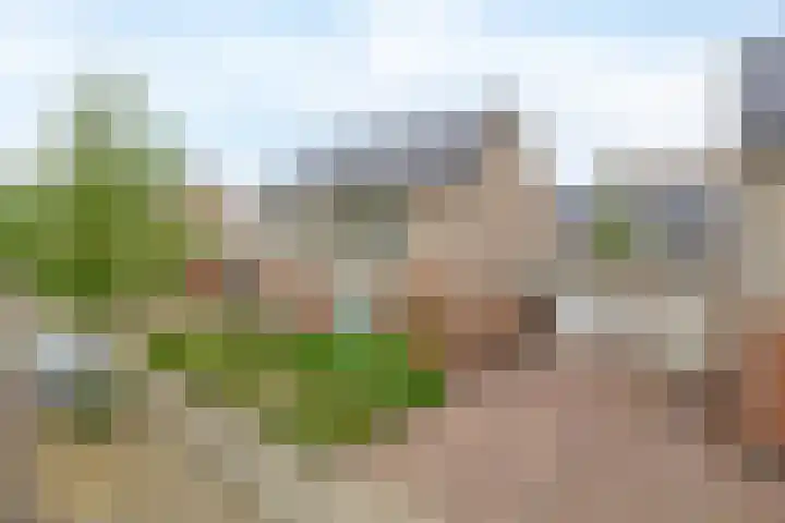 Meidoornlaan 6 Tegelen foto 3