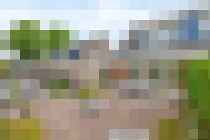 Meidoornlaan 6 Tegelen thumbnail 30