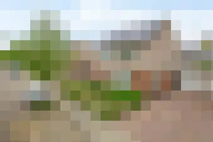 Meidoornlaan 6 Tegelen thumbnail 31
