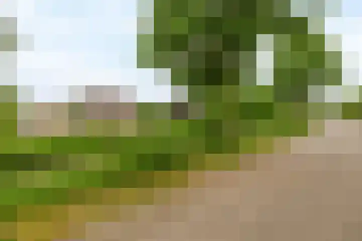 Meidoornlaan 6 Tegelen thumbnail 32