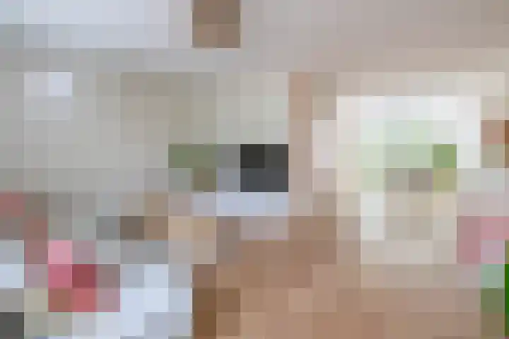 Meidoornlaan 6 Tegelen thumbnail 7