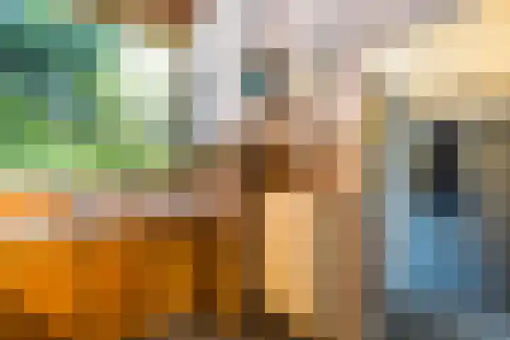 Meidoornlaan 60 Rotterdam thumbnail 12