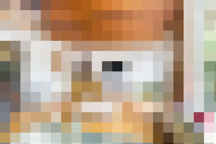 Meidoornlaan 60 Rotterdam thumbnail 14