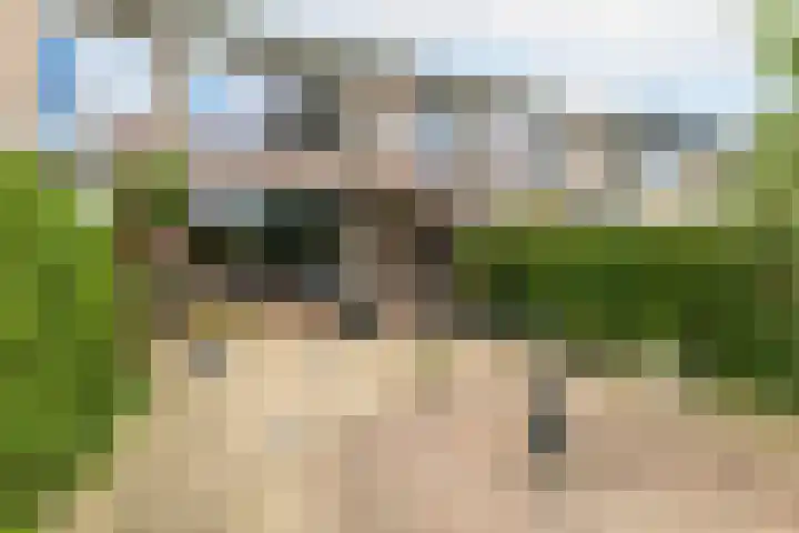 Meidoornlaan 60 Rotterdam thumbnail 18