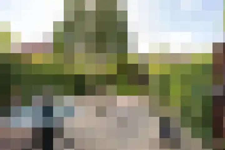 Meidoornlaan 60 Rotterdam thumbnail 20