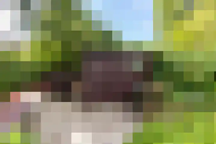 Meidoornlaan 60 Rotterdam thumbnail 21