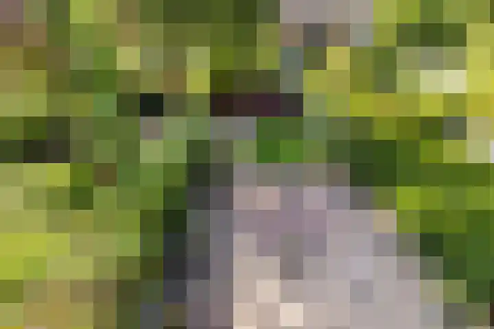 Meidoornlaan 60 Rotterdam thumbnail 27