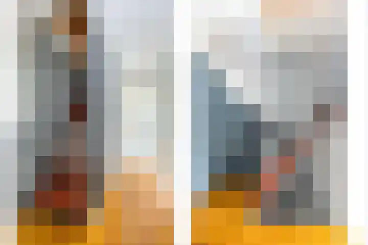 Meidoornlaan 60 Rotterdam thumbnail 30