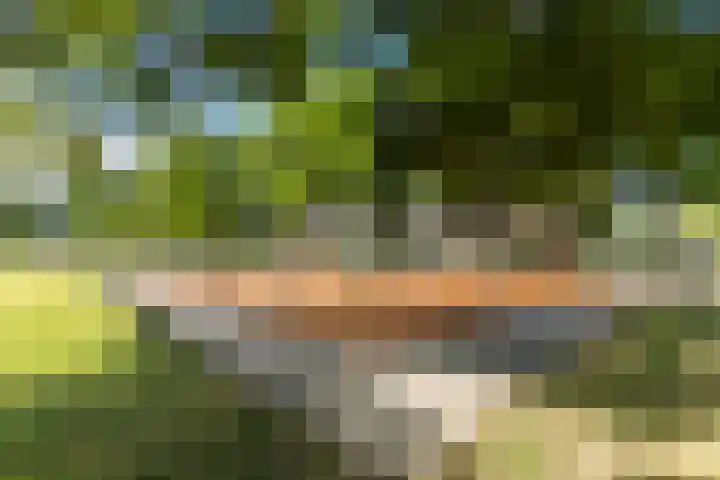 Meidoornlaan 60 Rotterdam thumbnail 36