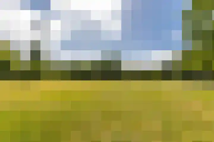 Meidoornlaan 60 Rotterdam thumbnail 37