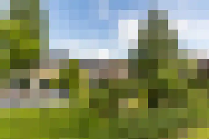 Meidoornlaan 60 Rotterdam thumbnail 38
