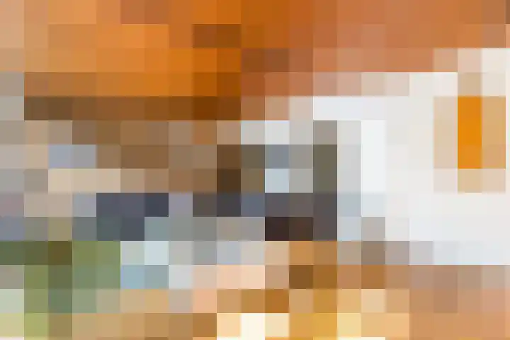Meidoornlaan 60 Rotterdam thumbnail 4