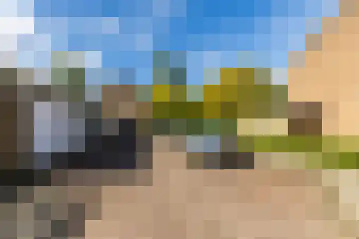 Meidoornlaan 60 Rotterdam thumbnail 40