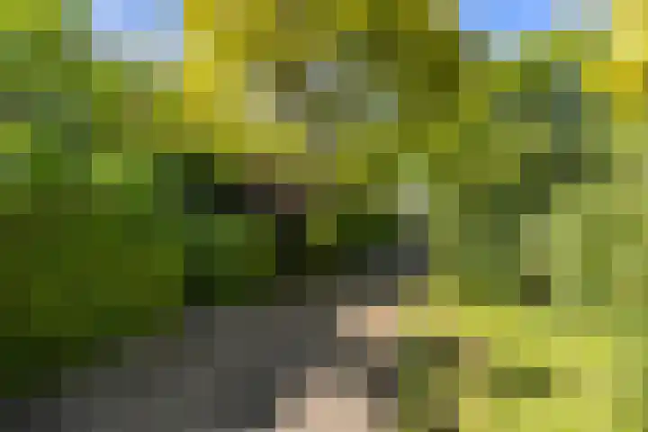 Meidoornlaan 60 Rotterdam thumbnail 41