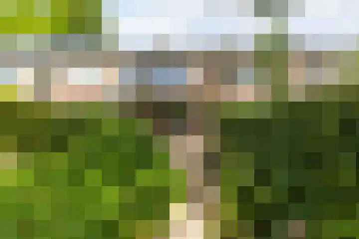 Meidoornlaan 60 Rotterdam thumbnail 47