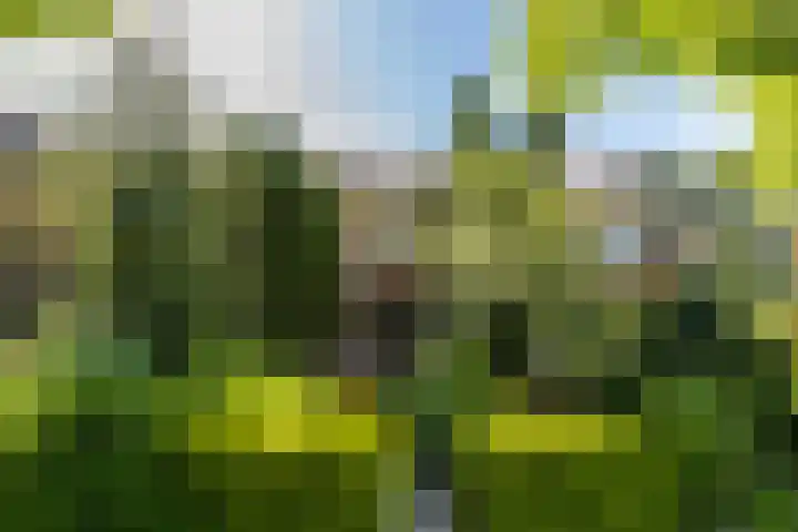 Meidoornlaan 60 Rotterdam thumbnail 5