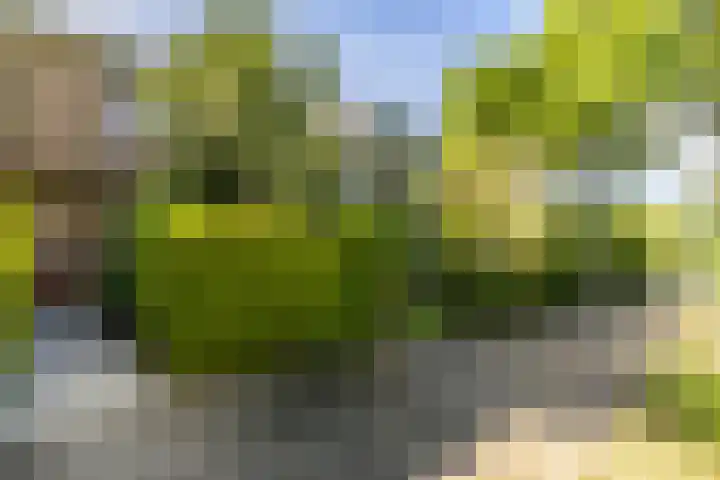 Meidoornlaan 60 Rotterdam thumbnail 8