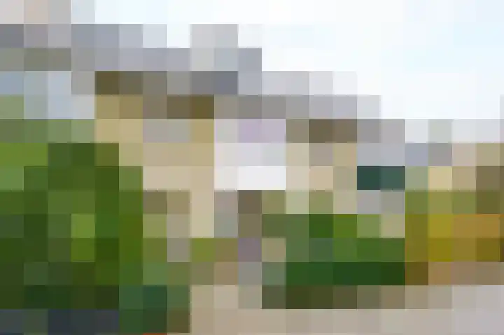 Meidoornlaan 63 Nootdorp