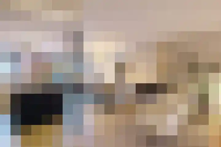 Meidoornlaan 63 Nootdorp thumbnail 13