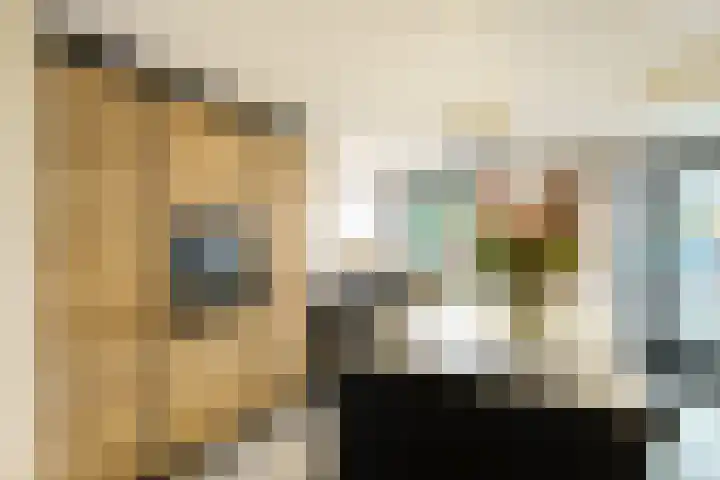 Meidoornlaan 63 Nootdorp thumbnail 16