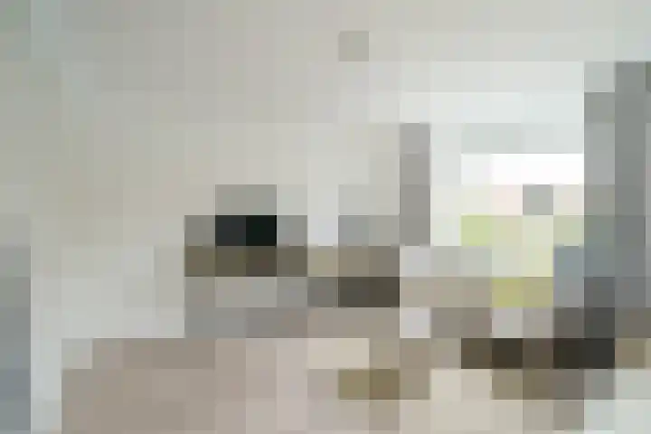 Meidoornlaan 63 Nootdorp thumbnail 20