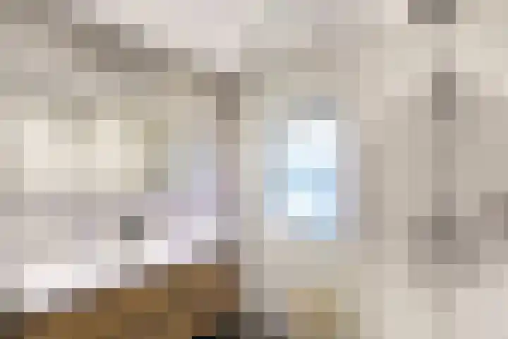 Meidoornlaan 63 Nootdorp thumbnail 23
