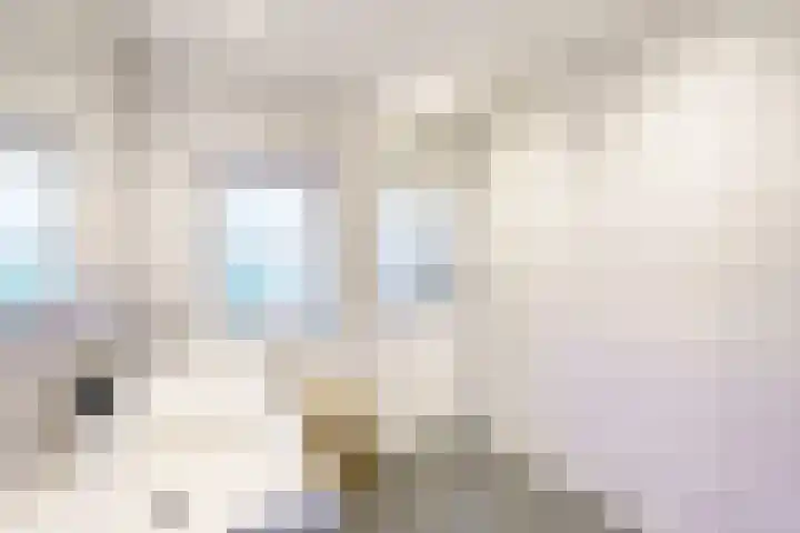 Meidoornlaan 63 Nootdorp thumbnail 24