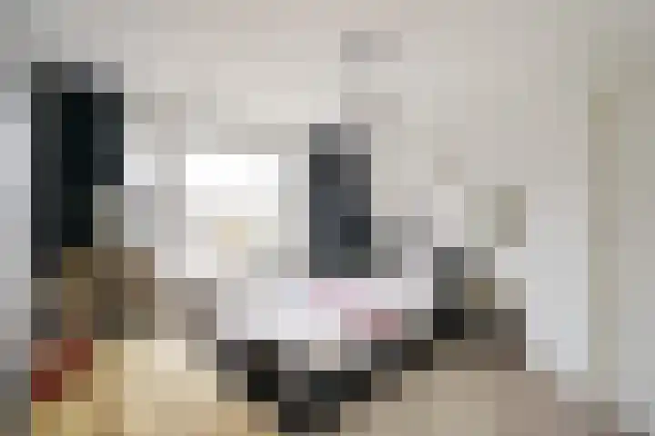Meidoornlaan 63 Nootdorp thumbnail 25