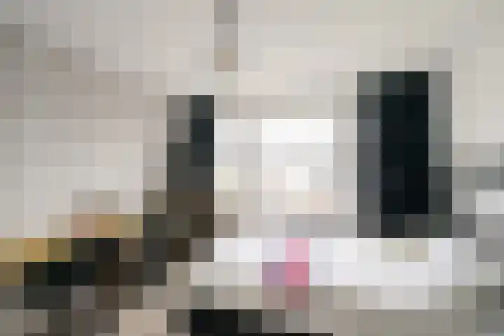 Meidoornlaan 63 Nootdorp thumbnail 26