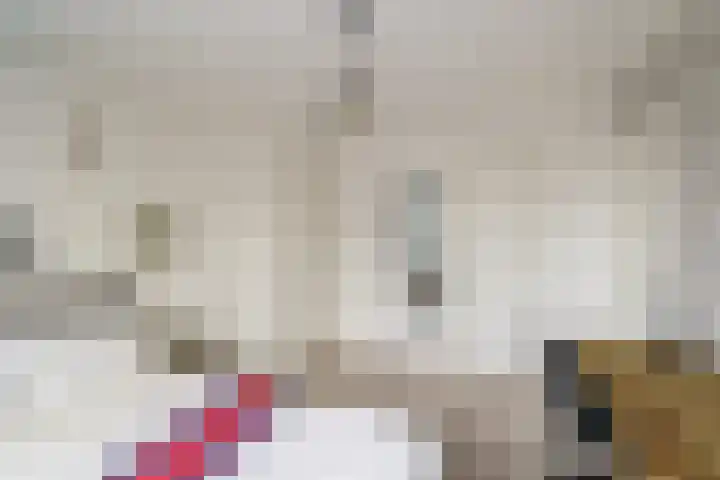 Meidoornlaan 63 Nootdorp thumbnail 27