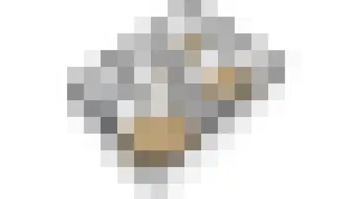 Meidoornlaan 63 Nootdorp thumbnail 30