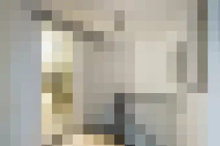 Meidoornlaan 63 Nootdorp thumbnail 31