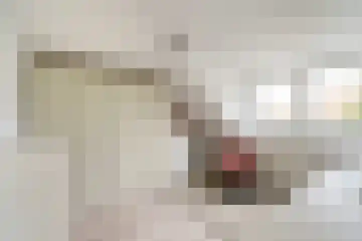 Meidoornlaan 63 Nootdorp thumbnail 34
