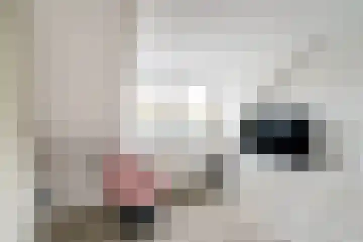 Meidoornlaan 63 Nootdorp thumbnail 35