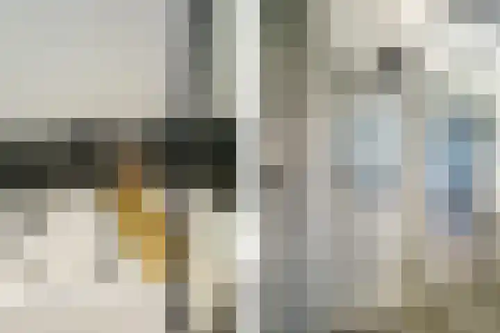 Meidoornlaan 63 Nootdorp thumbnail 38